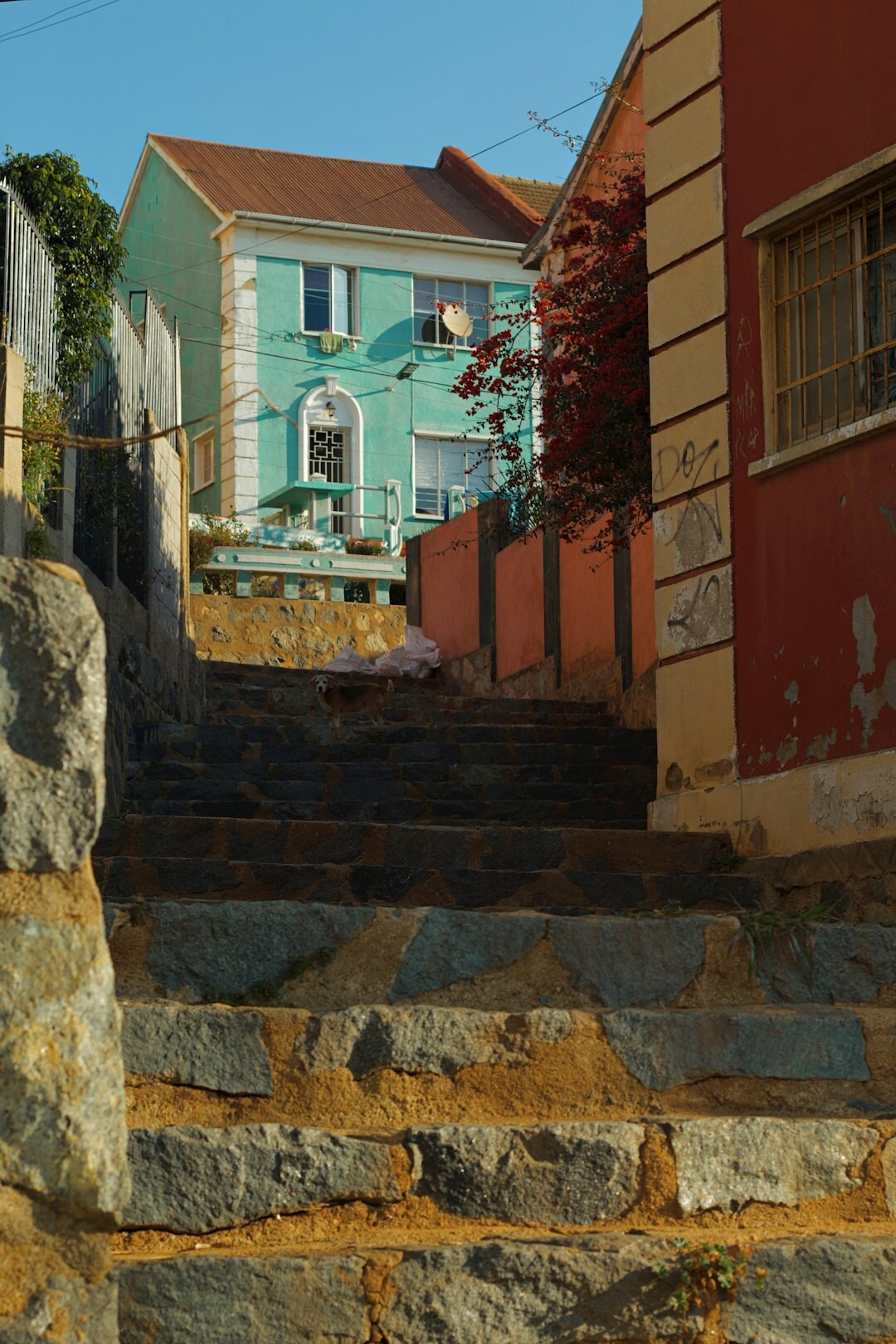 valparaiso colorful houses